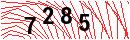 Security Verification