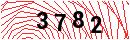 Security Verification