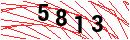 Security Verification