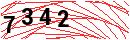 Security Verification