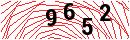 Security Verification
