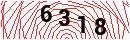 Security Verification