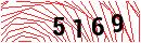 Security Verification