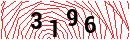 Security Verification