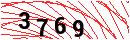 Security Verification