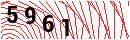 Security Verification