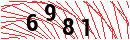 Security Verification