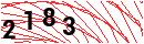 Security Verification