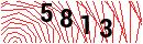 Security Verification