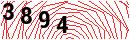 Security Verification