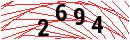 Security Verification