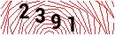Security Verification