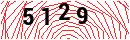 Security Verification