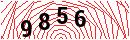 Security Verification