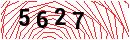 Security Verification