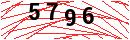 Security Verification