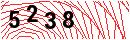 Security Verification
