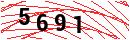 Security Verification