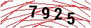 Security Verification