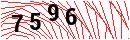 Security Verification