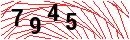 Security Verification
