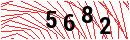 Security Verification