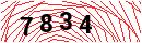 Security Verification