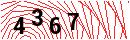 Security Verification