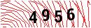 Security Verification