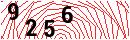 Security Verification