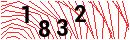 Security Verification