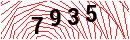 Security Verification