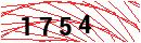 Security Verification