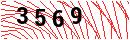 Security Verification