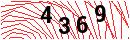 Security Verification
