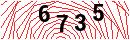 Security Verification