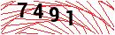 Security Verification