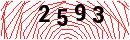 Security Verification