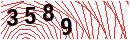 Security Verification