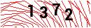 Security Verification