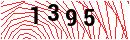 Security Verification