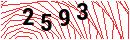 Security Verification