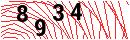 Security Verification