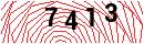 Security Verification