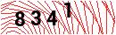 Security Verification