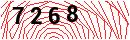 Security Verification