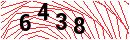 Security Verification