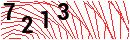Security Verification