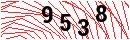 Security Verification