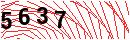 Security Verification